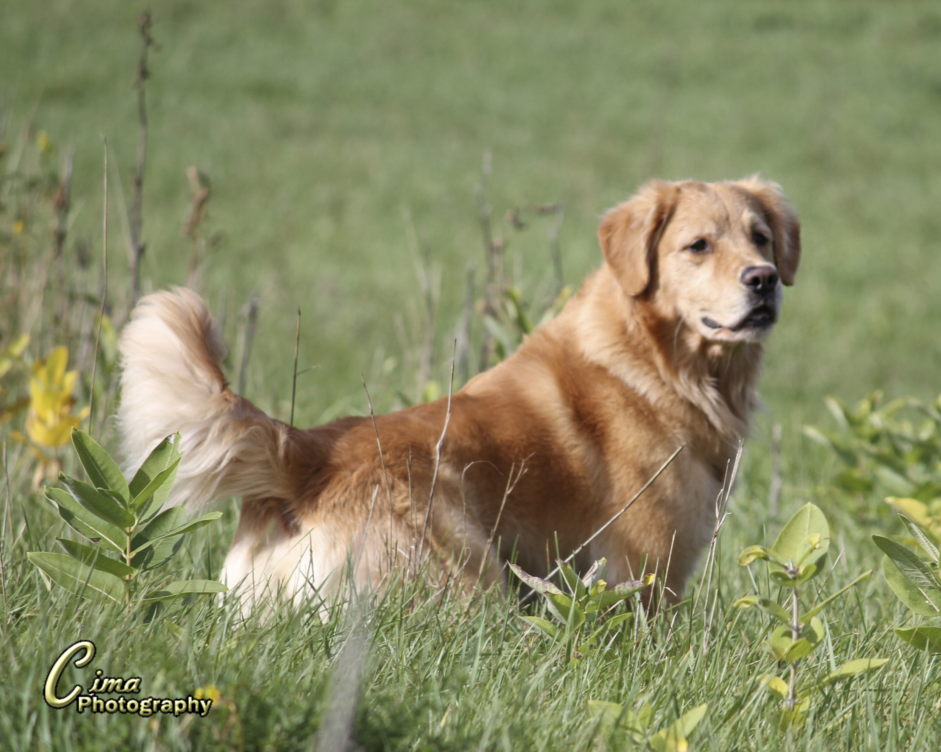 img_5004_zpse9484cf8