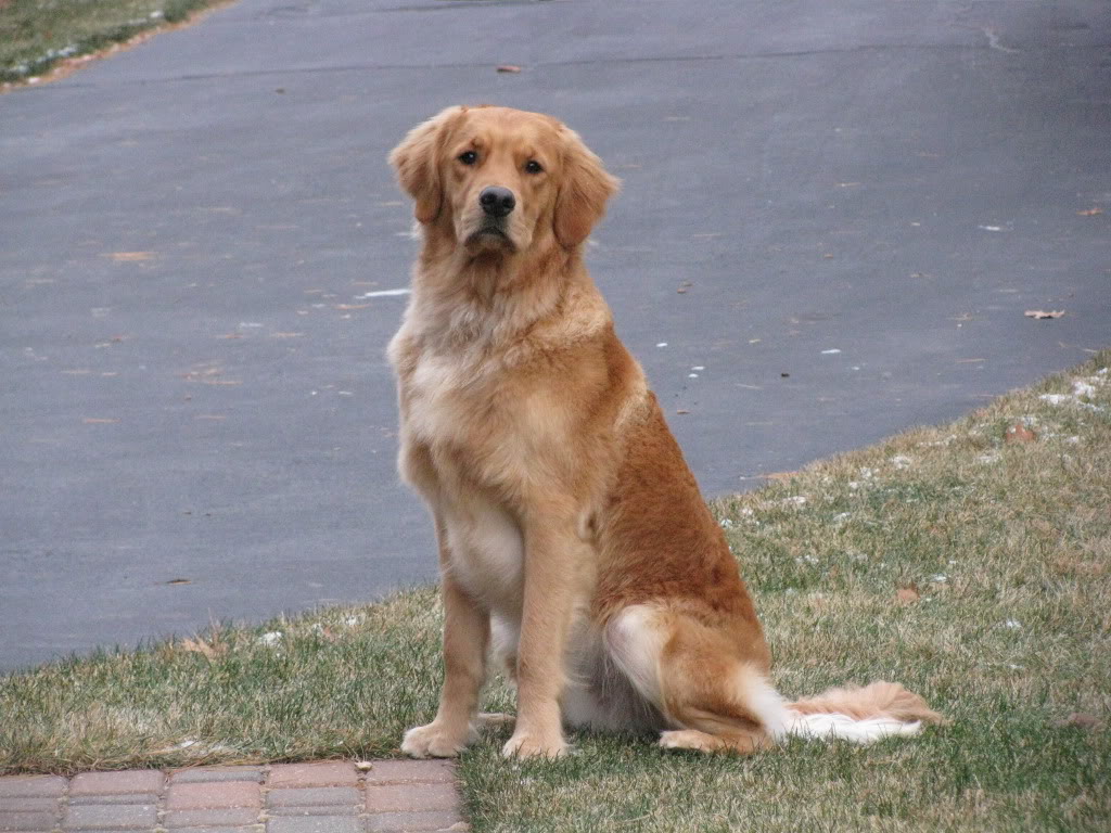 maxposing
